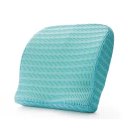 HealthSense Soft-Spot Backrest Cushion (BC21-Ice Blue)-picture-24