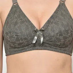 Da Intimo Grey Non Wired Non Padded Everyday Bra image 5