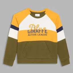 Blue Giraffe Kids Multicolor Color Block Full Sleeves Sweatshirt-image-24