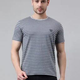 Van Heusen Grey Cotton Regular Fit Striped T-Shirt-image-36