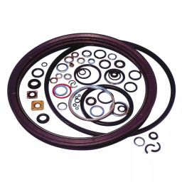 NOK 11 mm Thickness SC Type Silicone Rubber Oil Seal, SC406211-V-image-99