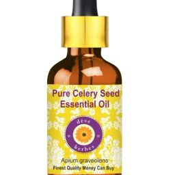 Deve Herbes Pure Celery Seed Essential Oil with Glass Dropper - 5 ml-image-44