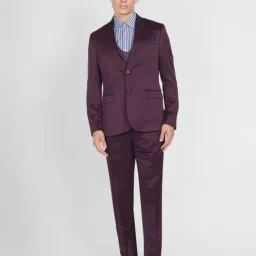 Arrow Wine Regular Fit Three Piece Suit-image-6