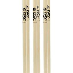 DSC Cricket Bleached and Polished Stumps Set Size - Free Size-image-98