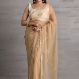 Sutra Attire Luxurios Beige Handcrafted Tissue Saree-picture-2