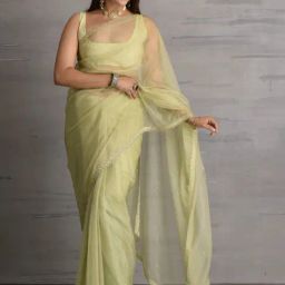 Sutra Attire Pista Green Pearl Embellished Tissue Saree-image-71