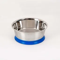 Home4U Blue & silver Stainless Steel Bowl (320 ml) - Set of 1-36