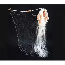 AS ONE Three Layer Fishing Net 50 m Length, 3-9091-02-image-15