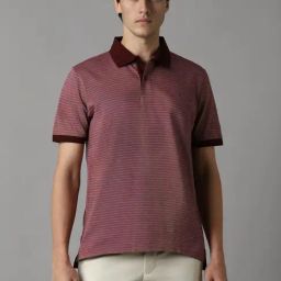 Louis Philippe Maroon Cotton Regular Fit Striped Polo T-Shirt-picture-23