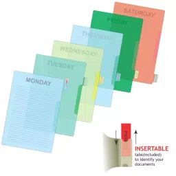 Solo Transparent White Weekly Documents Organiser DD206-34