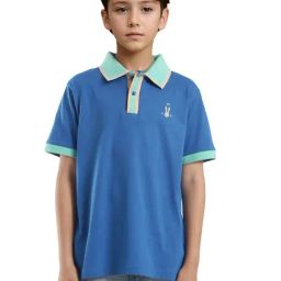 Rare Ones Boys Blue Cotton Solid Polo T-Shirt-image-75
