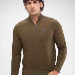 Spykar Green Regular Fit Striped Sweatshirt-image-83