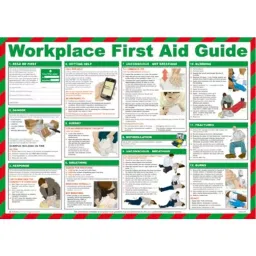 RS PRO Workplace First Aid Guidance Safety Pocket Guide Semi Rigid Laminate, 7873723-image-15