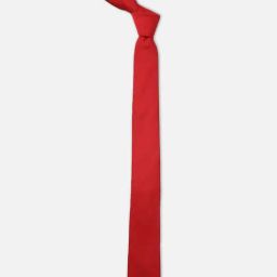 Van Heusen Red Embroidered Tie-picture-28
