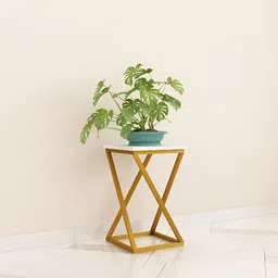 SIVOM Gold Wooden Square Bedside Table-picture-58