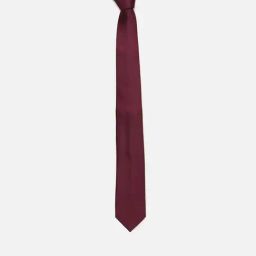 Louis Philippe Maroon Solid Tie-picture-23