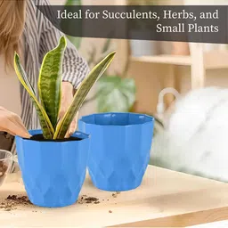 Kuber Industries 6Pc Blue & Red Barfi Pattern Durable Plastic Planters image 5
