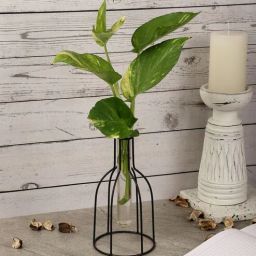 Black Metal Planter by The Decor Mart-picture-26