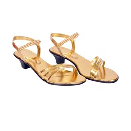 saanvishubh Women Gold Block Heels-picture-53