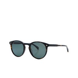 Shisen Fox Unisex Oval Sunglasses with Polarised and UV Protected Lens SG168-23