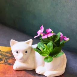 WEAVING HOMES White Textured Ceramic Cat Shaped Planters-21