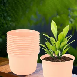 Kuber Industries Peach-Coloured 12 Pieces Marble Finish Planters With Tray-91