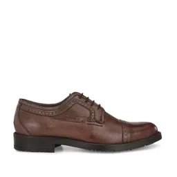 Carlo Romano Men's Brown Derby Shoes-image-88