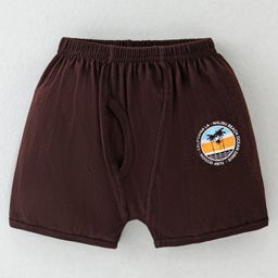 Revvo Junior Cotton Knit Brief with Beach & Text Print - Brown-image-27