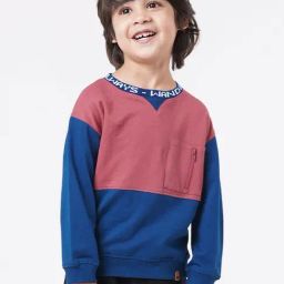 Ed-a-Mamma Kids Blue & Pink Cotton Color Block Full Sleeves Sweatshirt-image-17