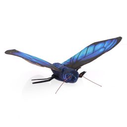 Wild Republic Morpho Butterfly Soft Toy Blue - Length 37 cm-image-39