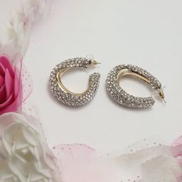 Maansh Contemporary Studs Earrings-10