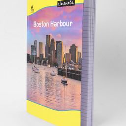 Classmate Long Notebook Single Line Ruling - 344 Pages (Colour and Print May Vary)-8