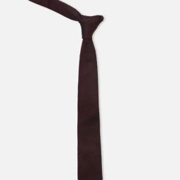 Louis Philippe Maroon Printed Tie-picture-45