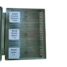BEXCO Zoology Prepared 25 Microscope Slides Lab Specimens with Box image 4