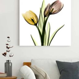 Art Street Multi Synthetic Wood Wall Art For Home D¿cor-image-89