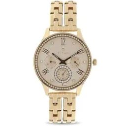 Titan NS95040WM01 Analog Watch for Women-24