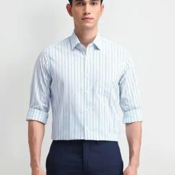 Arrow Blue Cotton Slim Fit Striped Shirt-image-101