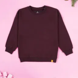 Kiddopanti Boys Wine Regular Fit Sweatshirt-picture-2