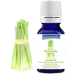 Airance 10 ml Citronella Essential Fragrance Citronella Therapeutic Grade Essential Oil-image-4