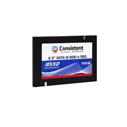 Consistent 512 GB Black Internal Solid State Drive CTSSD256S6-45