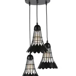 DecorativeRay Black Hanging Light - Set of 1-picture-4