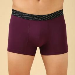 Van Heusen Purple Regular Fit Trunks-picture-29