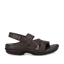 Hitz Men's Brown Back Strap Sandals-image-94