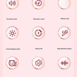 Flaze Mic Speaker Set Karaoke Machine Wireless Microphone Speaker Support 32 (Single Microphone)-PACK OF 1 ( COLOR AND DESIGN MARY VARY) image 5