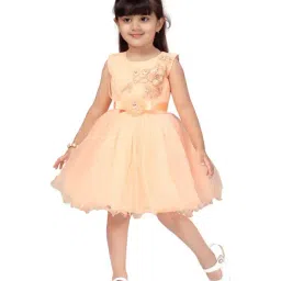 Aarika Kids Peach Embroidered Frock-image-68
