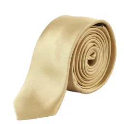 Alvaro Castagnino Solid Beige Necktie-10