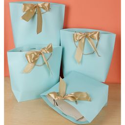 Chocozone Pack of 6 Paper Bags for Return Gifts Return Gift Bags for Kids Birthday It's a Baby Shower Bags - Blue-23