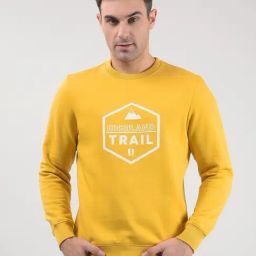 Numero Uno Mustard Regular Fit Printed Sweatshirt-image-15