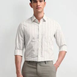 Arrow Beige Cotton Slim Fit Striped Shirt-image-76