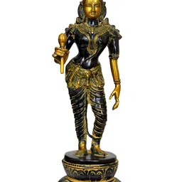 Exotic India Black & Gold-Toned Goddess Parvati Religious Idol Showpiece-image-57